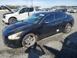 Nissan Maxima salvage cars for sale: 2009 Nissan Maxima S