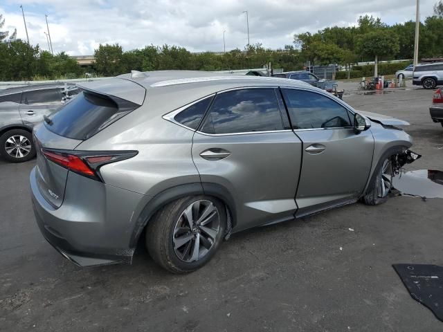 2019 Lexus NX 300 Base