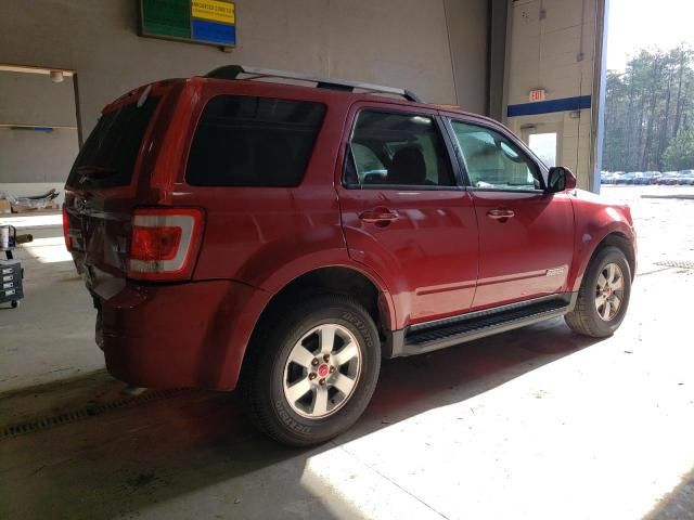 2010 Ford Escape Limited