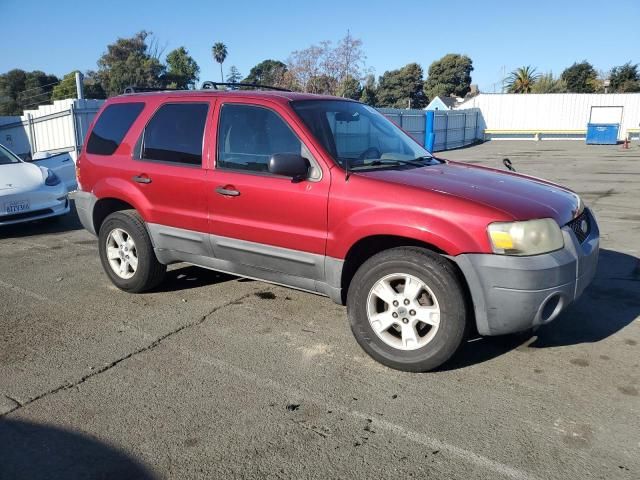 2006 Ford Escape XLT