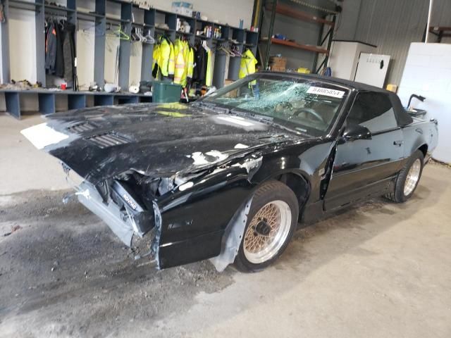 1989 Pontiac Firebird Trans AM