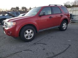 Ford Escape salvage cars for sale: 2011 Ford Escape XLT