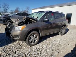 Toyota rav4 salvage cars for sale: 2011 Toyota Rav4