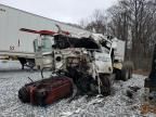 2008 Peterbilt 367