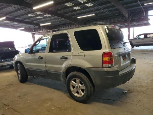 2005 Ford Escape XLT