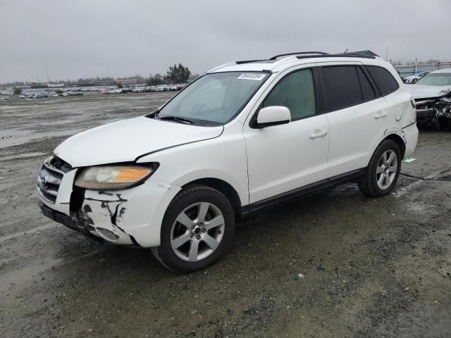 2007 Hyundai Santa FE SE