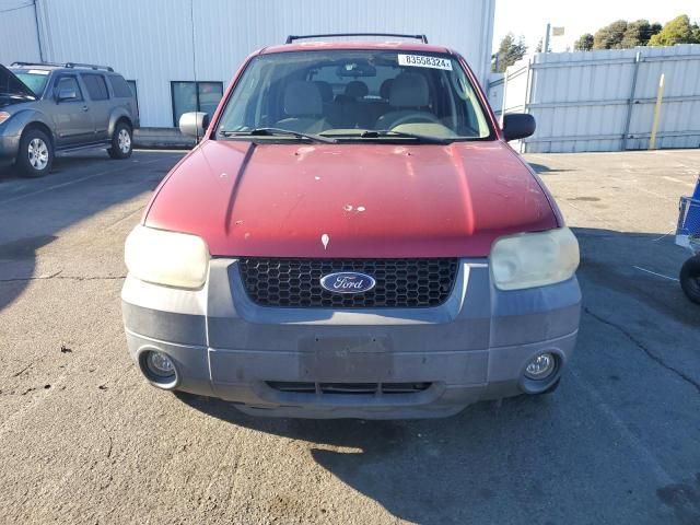 2006 Ford Escape XLT