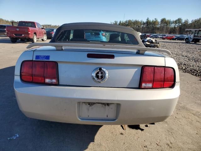 2005 Ford Mustang