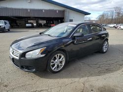 Nissan Maxima salvage cars for sale: 2014 Nissan Maxima S