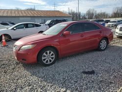 Toyota Camry salvage cars for sale: 2008 Toyota Camry Hybrid