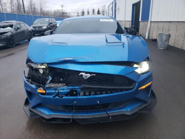 2019 Ford Mustang