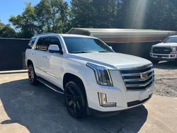 Cadillac salvage cars for sale: 2019 Cadillac Escalade Luxury