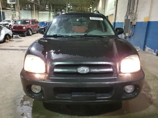 2006 Hyundai Santa FE GLS