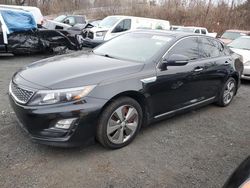 KIA salvage cars for sale: 2014 KIA Optima Hybrid