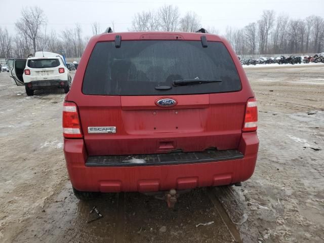 2011 Ford Escape XLT