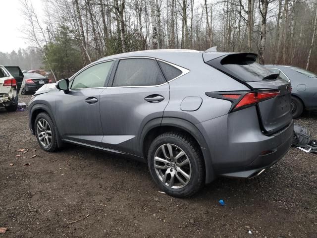 2021 Lexus NX 300 Base