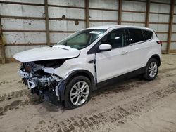 Ford Escape salvage cars for sale: 2019 Ford Escape SE