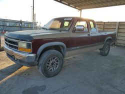 1993 Dodge Dakota for sale in Anthony, TX