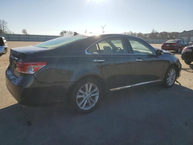 2011 Lexus ES 350