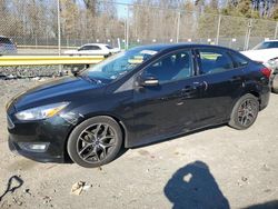 Ford Focus salvage cars for sale: 2015 Ford Focus SE