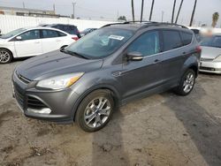 Ford Escape sel salvage cars for sale: 2013 Ford Escape SEL