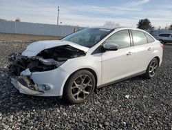 Ford Focus salvage cars for sale: 2013 Ford Focus SE