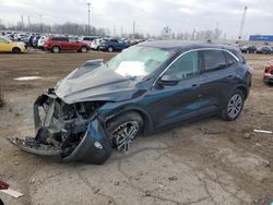 Ford Escape sel Vehiculos salvage en venta: 2022 Ford Escape SEL