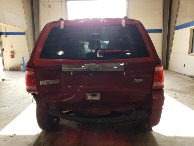 2010 Ford Escape Limited