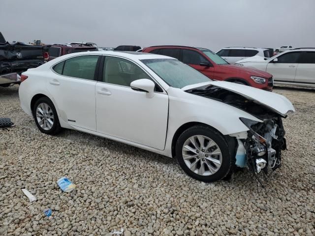 2013 Lexus ES 300H