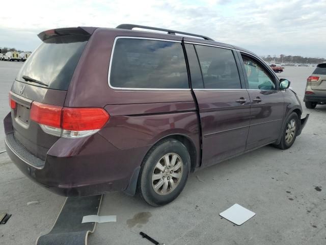 2009 Honda Odyssey EXL