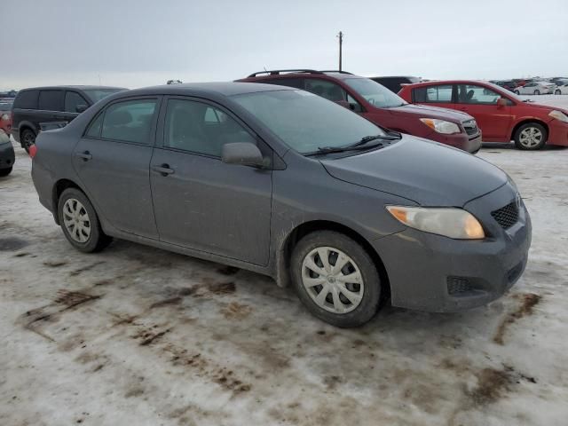 2009 Toyota Corolla Base