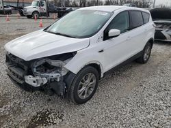 Ford Escape salvage cars for sale: 2017 Ford Escape SE