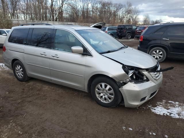 2008 Honda Odyssey EXL