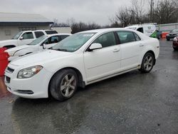 Chevrolet Malibu salvage cars for sale: 2011 Chevrolet Malibu 1LT