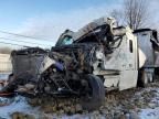 2023 Freightliner Cascadia 126