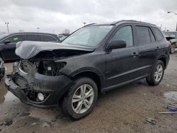 Hyundai Santa fe salvage cars for sale: 2010 Hyundai Santa FE SE