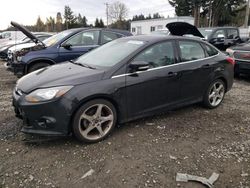 Ford Focus Titanium salvage cars for sale: 2012 Ford Focus Titanium