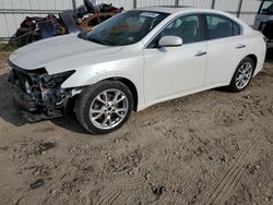 Nissan Maxima salvage cars for sale: 2013 Nissan Maxima S