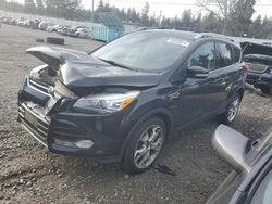 Ford Escape salvage cars for sale: 2013 Ford Escape Titanium