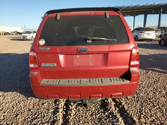 2009 Ford Escape XLT