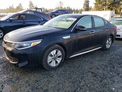 KIA salvage cars for sale: 2017 KIA Optima Hybrid