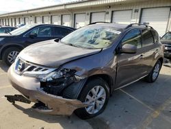 Nissan Murano salvage cars for sale: 2014 Nissan Murano S