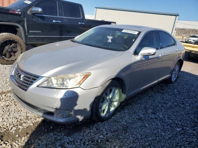 2010 Lexus ES 350