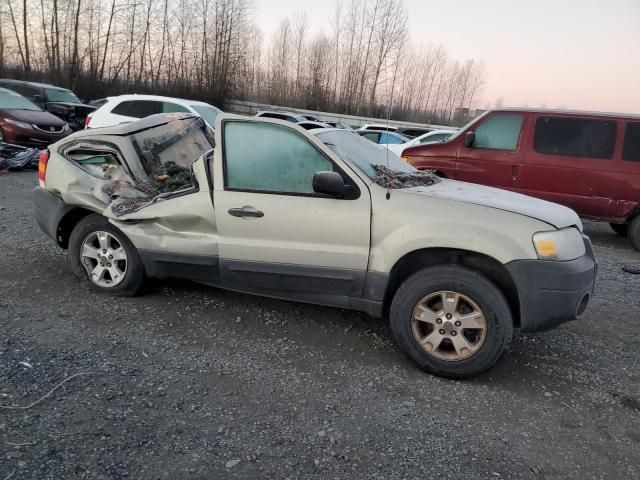 2005 Ford Escape XLT