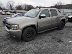 Chevrolet Avalanche salvage cars for sale: 2009 Chevrolet Avalanche K1500 LT