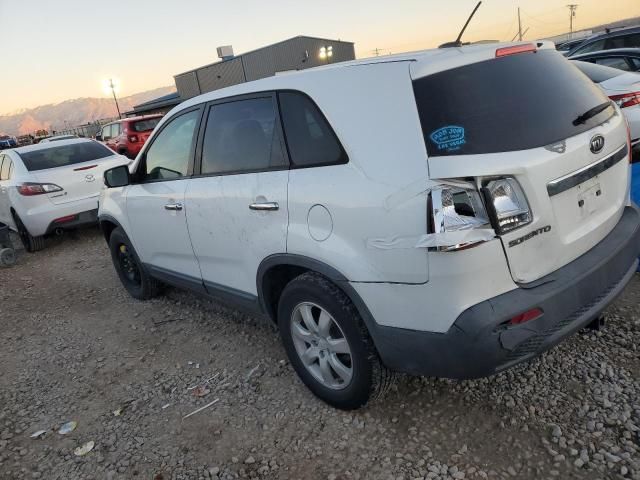 2011 KIA Sorento Base