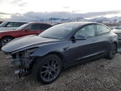 Tesla salvage cars for sale: 2023 Tesla Model 3