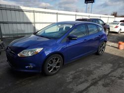 Ford Focus salvage cars for sale: 2013 Ford Focus SE