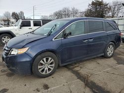 Honda Odyssey salvage cars for sale: 2016 Honda Odyssey SE