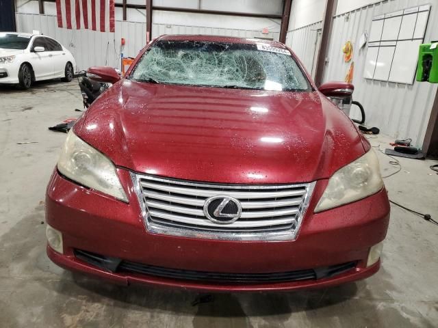 2010 Lexus ES 350